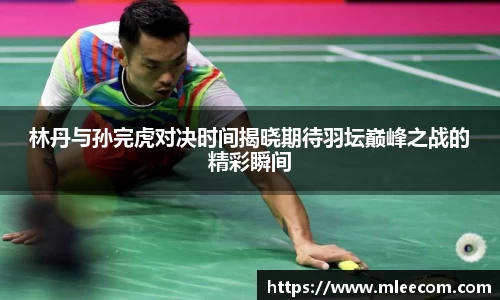 林丹与孙完虎对决时间揭晓期待羽坛巅峰之战的精彩瞬间